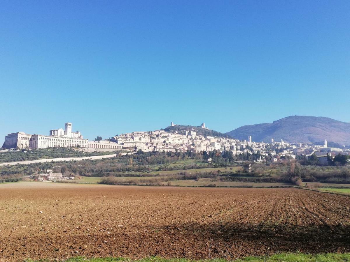 Villa Gina Assisi Exterior photo
